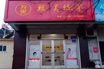 致美练字