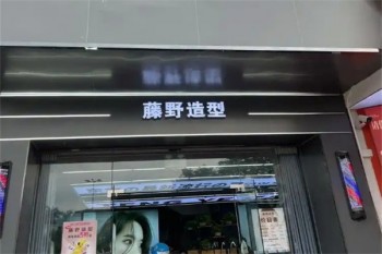 藤野造型