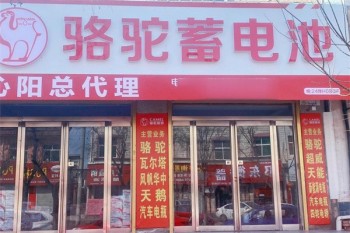 骆驼电瓶