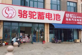 骆驼电瓶