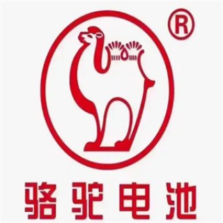 骆驼电瓶