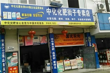 中化化肥