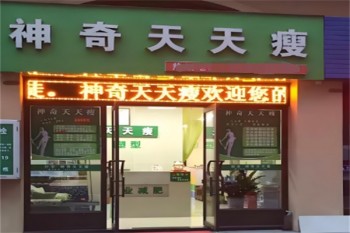 神奇天天瘦减肥