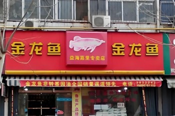 金龙鱼食用油