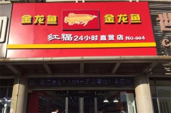 金龙鱼食用油