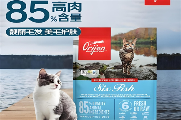 渴望猫粮