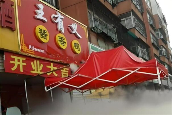 王有义酱香鸭