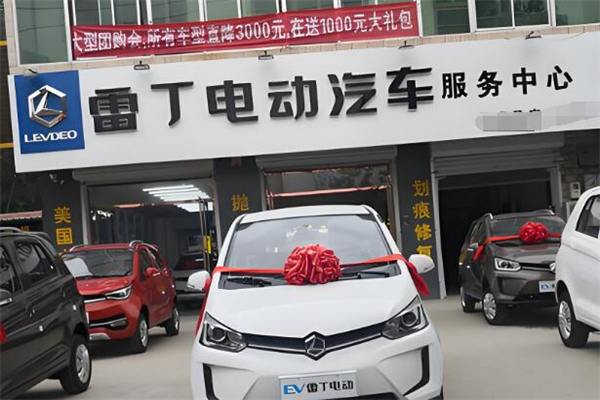 雷丁电动汽车