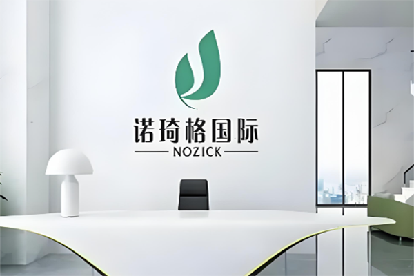 诺琦格国际