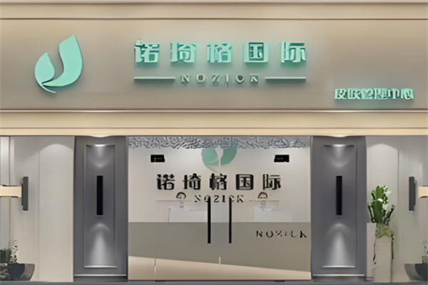 诺琦格国际