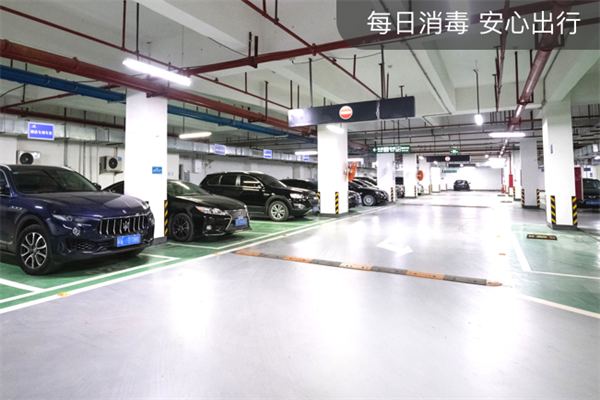 小强停车