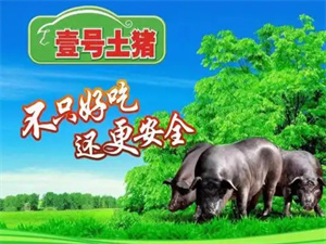 加盟