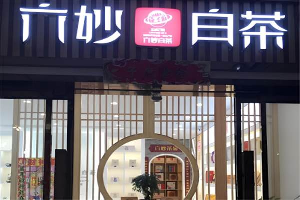 六妙白茶加盟