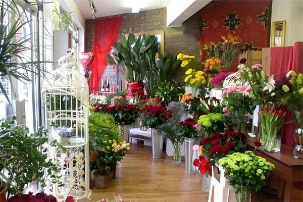 熊先生鲜花