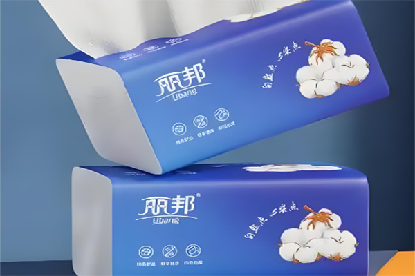 丽邦卫生纸