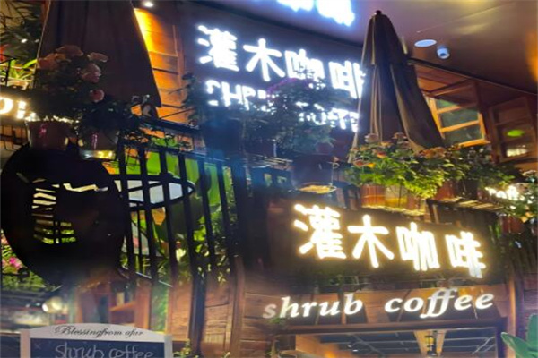 灌木咖啡