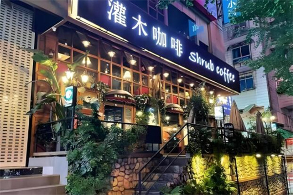 灌木咖啡
