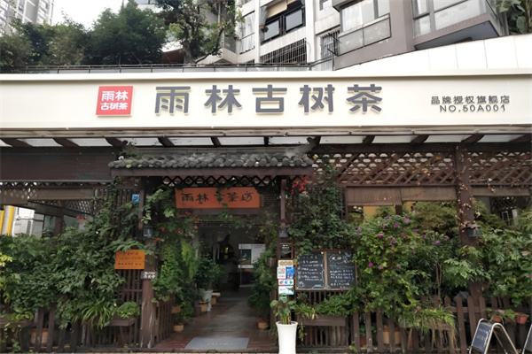 雨林古茶坊