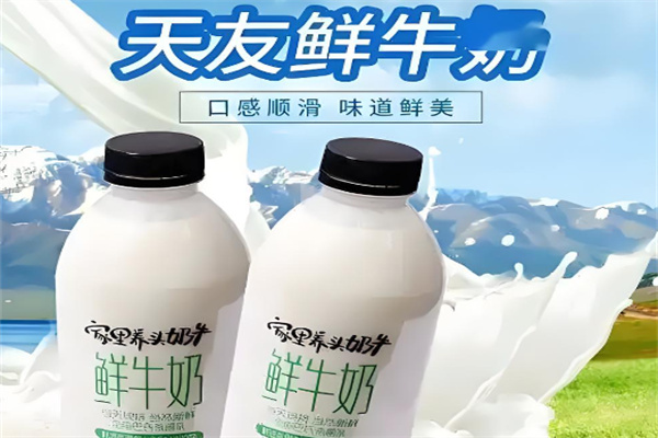 天友牛奶