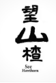 望山楂饮料
