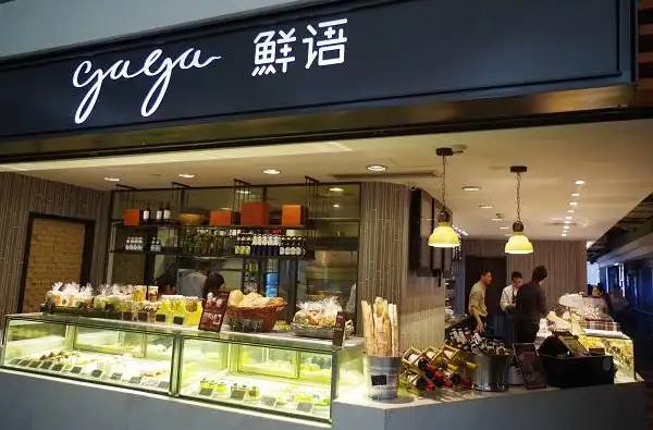 gaga鲜语