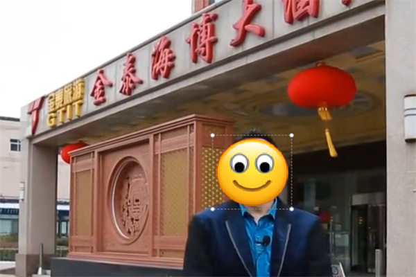 金泰海博大酒店 金泰海博大酒店