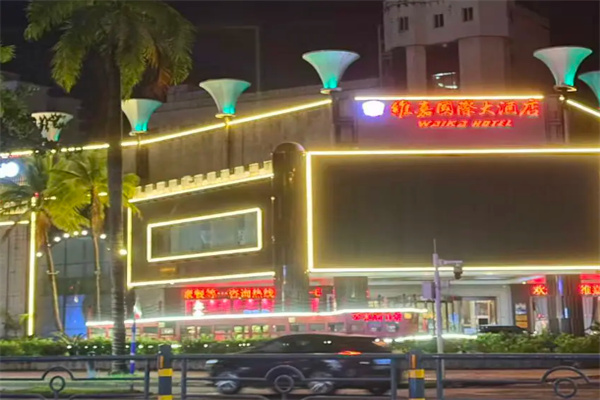 维嘉国际大酒店 维嘉国际大酒店