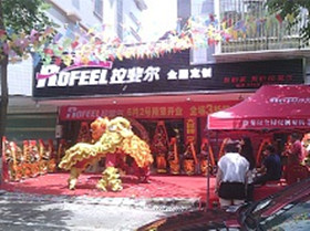 拉斐尔衣柜