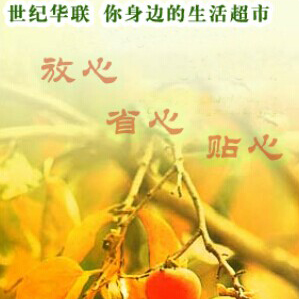 世纪华联超市