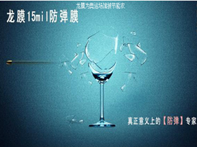 龙膜汽车车膜