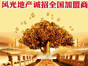 风光地产
