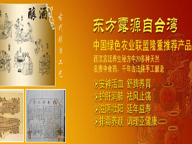 东方露养生酒