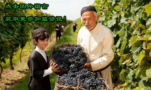 加盟格鲁吉亚葡萄酒需要满足那些条件呢？