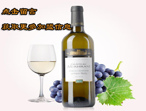如何加盟格鲁吉亚葡萄酒？