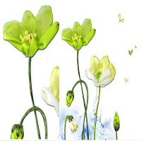 蝶恋花