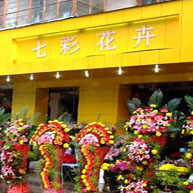 七彩花卉鲜花