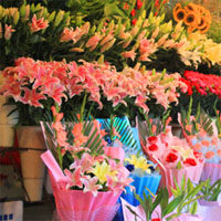 雅安花店