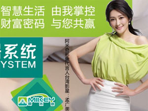 阿米奇智能家居