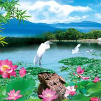 全景奇画