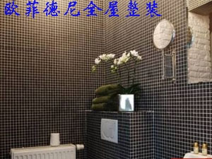 欧菲德尼