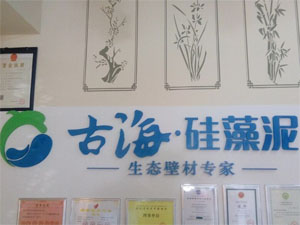 古海硅藻泥