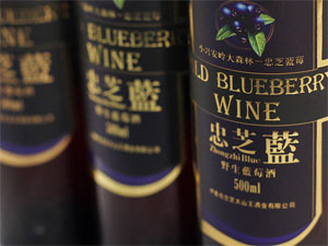 忠芝蓝莓酒