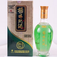 杨林肥酒