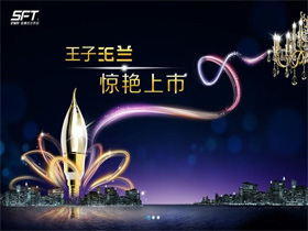 史福特LED节能灯