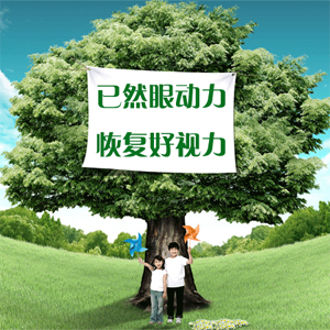 已然眼动力