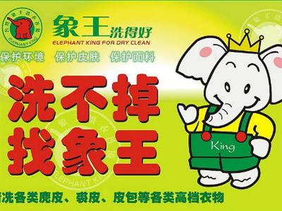 象王洗衣