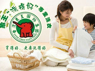 象王洗衣