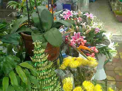 庞氏花艺