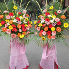 爱花居
