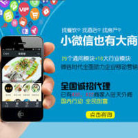天外阁微盟营销